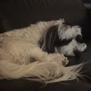 Meet your Posher, Galina